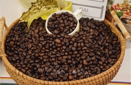 Hàn Quốc gia hạn miễn thuế đối với cà phê, cacao nhập khẩu
