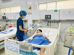 Vụ ngộ độc nấm mọc trên xác ve sầu ở Đồng Nai: Chuyển một trẻ em lên TP Hồ Chí Minh điều trị