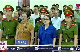 Tòa phúc thẩm Nghệ An tuyên Lê Thị Dung 15 tháng tù
