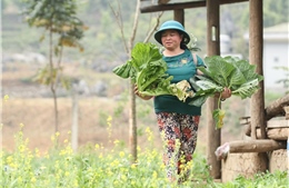 Hà Giang tìm đầu ra vững chắc cho nông sản địa phương