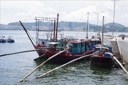 Quảng Ninh xử phạt nhiều vụ vi phạm trong khai thác hải sản tận diệt