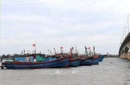 Quảng Trị khắc phục hạn chế trong quản lý tàu cá