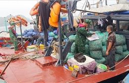 Quảng Ninh: Bắt giữ 3 tàu khai thác thủy sản trái phép