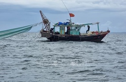 Quảng Ninh sẽ tịch thu phương tiện, sản phẩm khai thác thủy sản bất hợp pháp từ 1/9