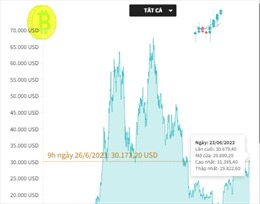Giá Bitcoin tuần qua bùng nổ, vượt mốc 31.000 USD