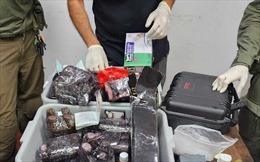 Israel bắt giữ 3 nhân viên Liên hợp quốc tình nghi buôn bán cocaine