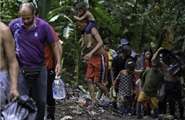 Số người di cư trái phép qua rừng Darién tăng kỷ lục