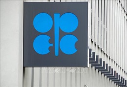 OPEC không có kế hoạch áp lệnh cấm giao dịch dầu mỏ với Israel