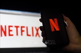 Yêu cầu Netflix dừng phát hành game không phép tại Việt Nam