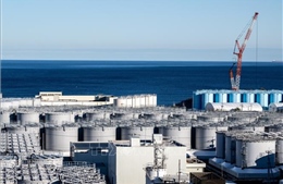 Tiếp tục đàm phán về kế hoạch xả nước thải của nhà máy điện hạt nhân Fukushima
