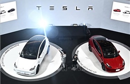 Tesla cập nhật phần mềm lái tự động Autopilot của 2 triệu xe điện
