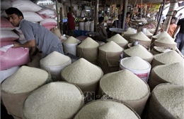 Giá gạo tiếp tục tăng mạnh trên thị trường châu Á