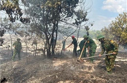 Thừa Thiên - Huế: Khẩn trương dập tắt vụ cháy rừng phòng hộ