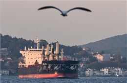 Thổ Nhĩ Kỳ, NATO thảo luận các bước nối lại Sáng kiến ngũ cốc Biển Đen