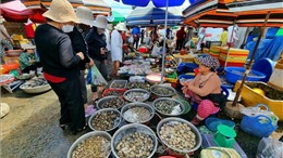 Khám phá chợ Nại - chợ quê làng biển điển hình ở Ninh Thuận