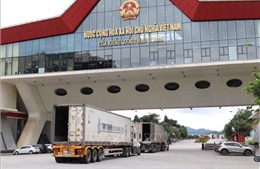 Hợp tác xây dựng cửa khẩu thông minh tại Lạng Sơn