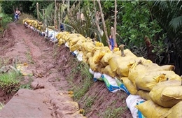 Trà Vinh: Công bố tình huống khẩn cấp sự cố sạt lở bờ sông khu vực cù lao Long Trị