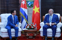 Phó Thủ tướng Trần Hồng Hà gặp Thủ tướng nước Cộng hoà Cuba 