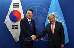 Tổng thư ký LHQ và Tổng thống Hàn Quốc thảo luận về vấn đề Triều Tiên và Ukraine