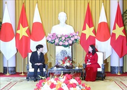 Phó Chủ tịch nước Võ Thị Ánh Xuân hội kiến với Hoàng Thái tử và Công nương Nhật Bản