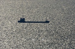Thêm ba tàu chở hàng rời cảng của Ukraine trên Biển Đen