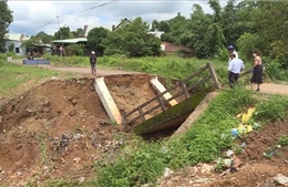 Bình Phước: Huy động lực lượng tập trung khắc phục hậu quả mưa lũ