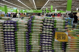 Philippines và Malaysia tung ra biện pháp để ổn định thị trường gạo