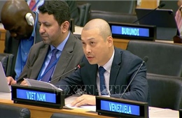 Việt Nam kêu gọi các giải pháp toàn diện, đột phá về phát triển bền vững