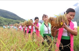Lên Lai Châu xem Lễ hội Kin lẩu khẩu mẩu của người Thái