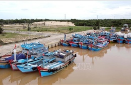 Quảng Bình quyết liệt chống khai thác thủy sản trái phép