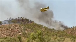 Australia: Máy bay hỗ trợ chữa cháy gặp nạn, 3 người tử vong