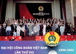 Đại hội Công đoàn Việt Nam lần thứ VIII (1998-2003)