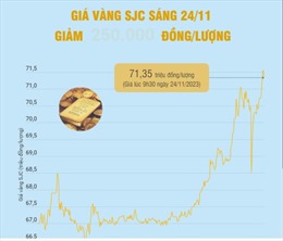 Giá vàng SJC sáng 24/11 giảm 250.000 đồng/lượng