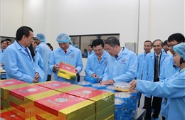 Khánh thành Nhà máy chế biến nguyên liệu yến sào Sanvinest Khánh Hòa