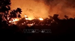 Kịp thời dập tắt vụ cháy rừng tại xã Ngọc Chấn, Yên Bái