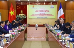 Thúc đẩy hợp tác Việt - Pháp trong chuyển đổi số và cải cách công vụ