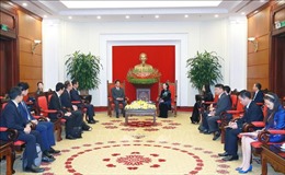 Thường trực Ban Bí thư Trương Thị Mai tiếp nguyên Đại sứ đặc biệt Việt Nam - Nhật Bản