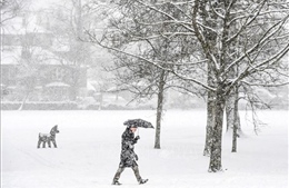 Nước Anh đón tuyết rơi sớm nhất trong vòng 15 năm