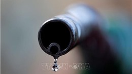 Giá dầu tăng hơn 5% từ đầu tuần đến nay