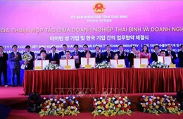 Kết nối doanh nghiệp Hàn Quốc đầu tư vào Thái Bình