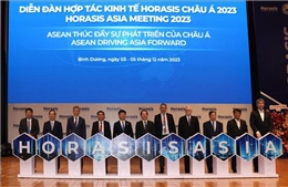 Khai mạc Diễn đàn Hợp tác Kinh tế Horasis châu Á năm 2023