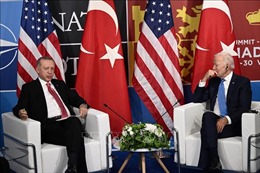 Thổ Nhĩ Kỳ và Mỹ thảo luận về các vấn đề song phương và an ninh khu vực