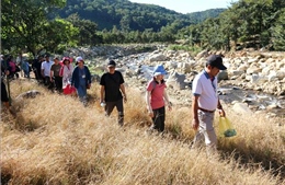 Khảo sát thực tế các điểm du lịch sinh thái tại Bình Thuận