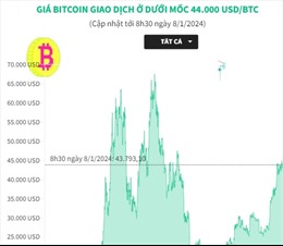 Giá Bitcoin giao dịch ở dưới mốc 44.000 USD/BTC
