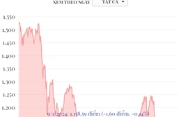 Phiên 9/1/2024: VN-Index giảm 1,6 điểm