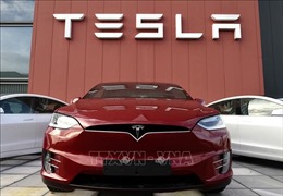 Tesla báo cáo doanh số bán ôtô đáng thất vọng trong quý đầu năm 2024