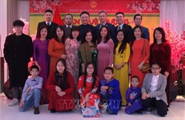 Mang Xuân Quê hương tới cộng đồng người Việt Nam tại Hà Lan