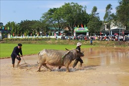 Gìn giữ lễ hội văn hóa Tây Bắc trên quê hương Lâm Đồng