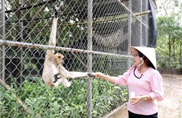 Người phụ nữ Khmer nặng lòng với các loài động vật hoang dã