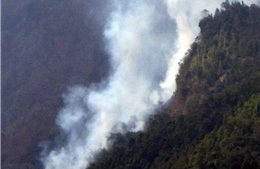 Gió Ô Quý Hồ trở lại, nguy cơ cháy rừng tại Sa Pa tăng cao